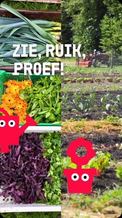 Zie, ruik, proef! ๐ฅฌ Tijdens De Gelderse Dag ontdek je bij Tuinderij Bodemliefde waar je eten...